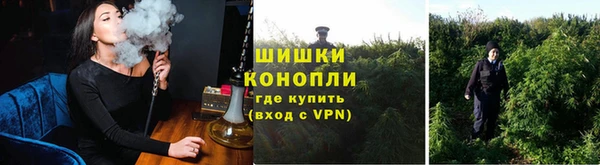 скорость Алзамай