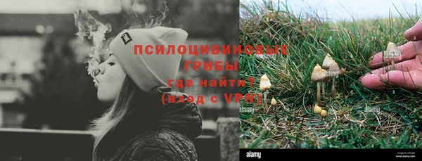не бодяженный Абаза